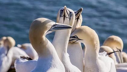 澳彩图库-接口文档-可复现-工具箱,澳彩图库v1.0